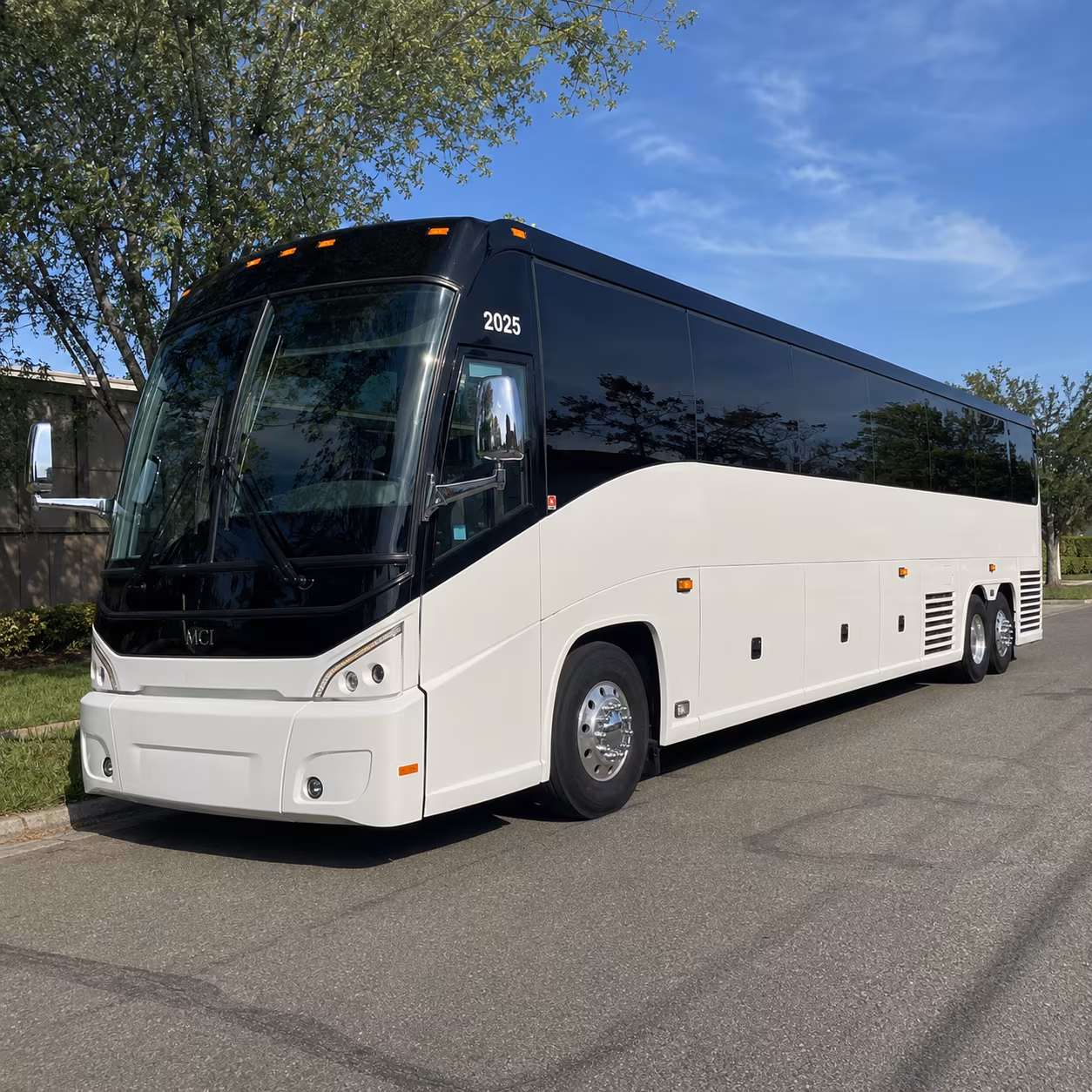 youth group and confirmation class buses serving chino